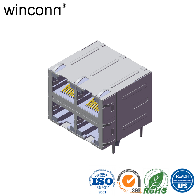 RJ45 2*2 with LED with transformer DIP socket connector 