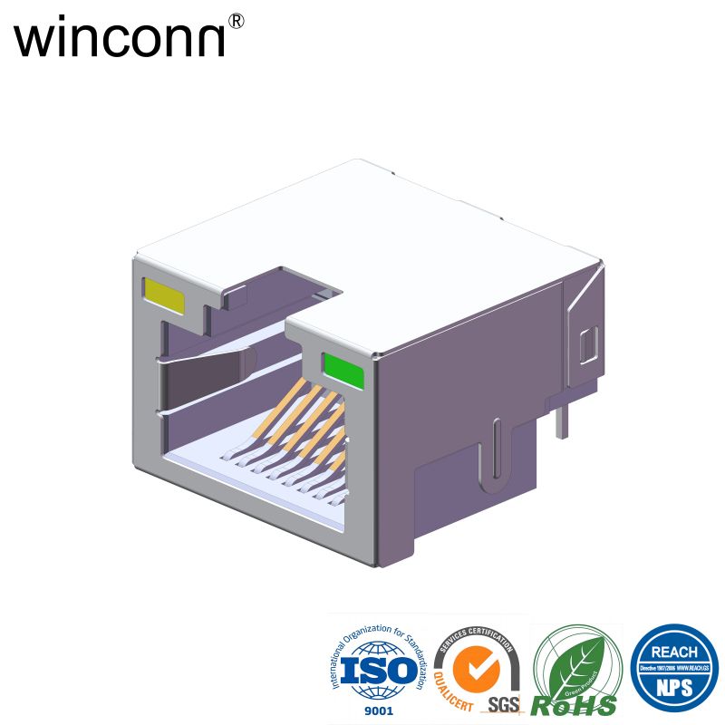 Sinker Type Right Angle DIP with LED RJ45 connector
